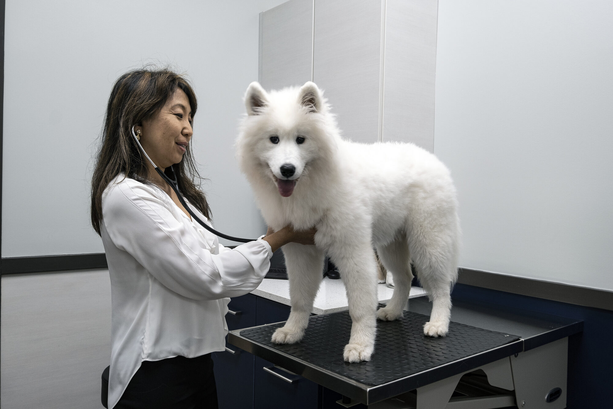 vet-pup-4
